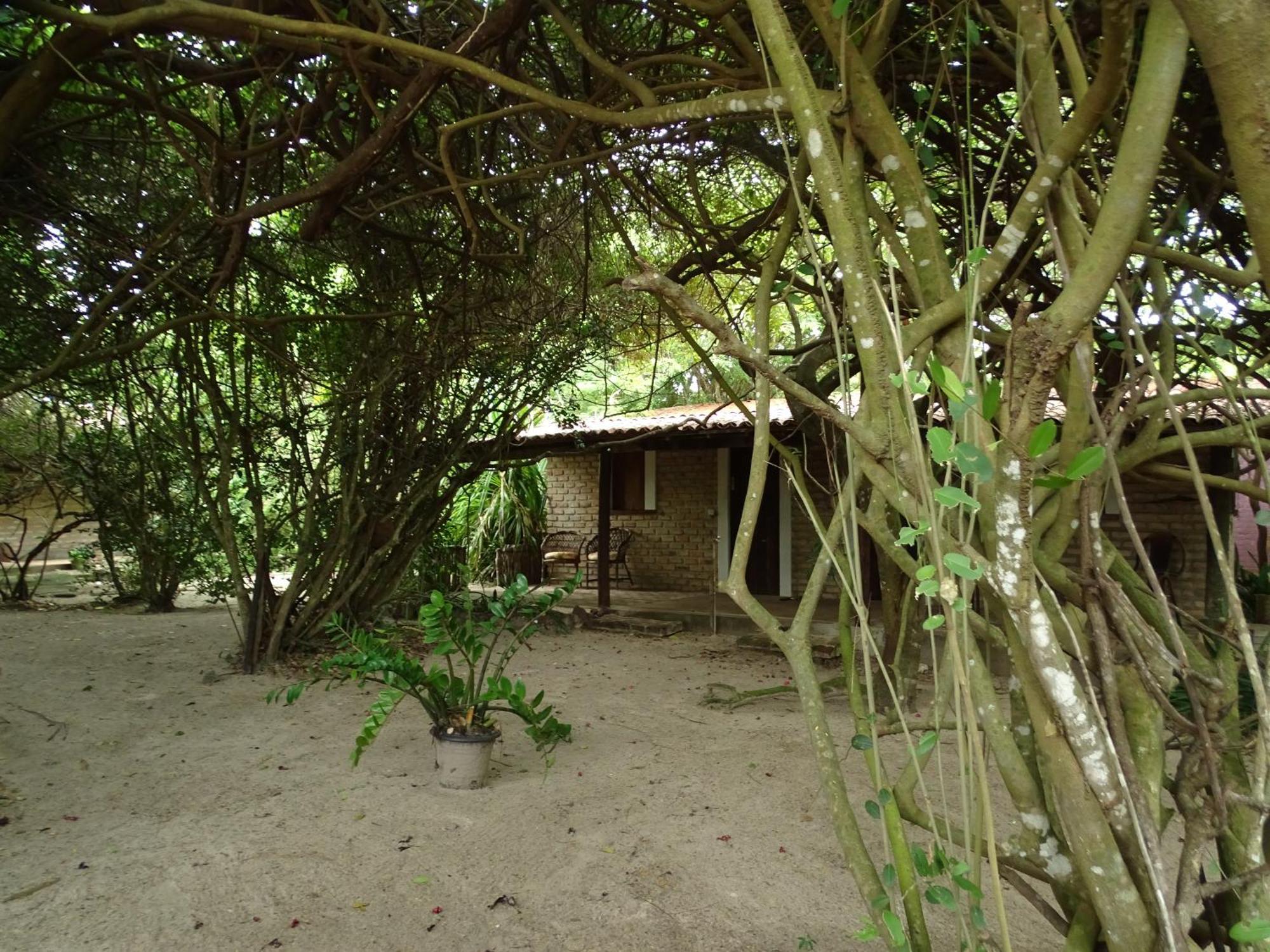 Hotel Jungle House São Miguel do Gostoso Zewnętrze zdjęcie