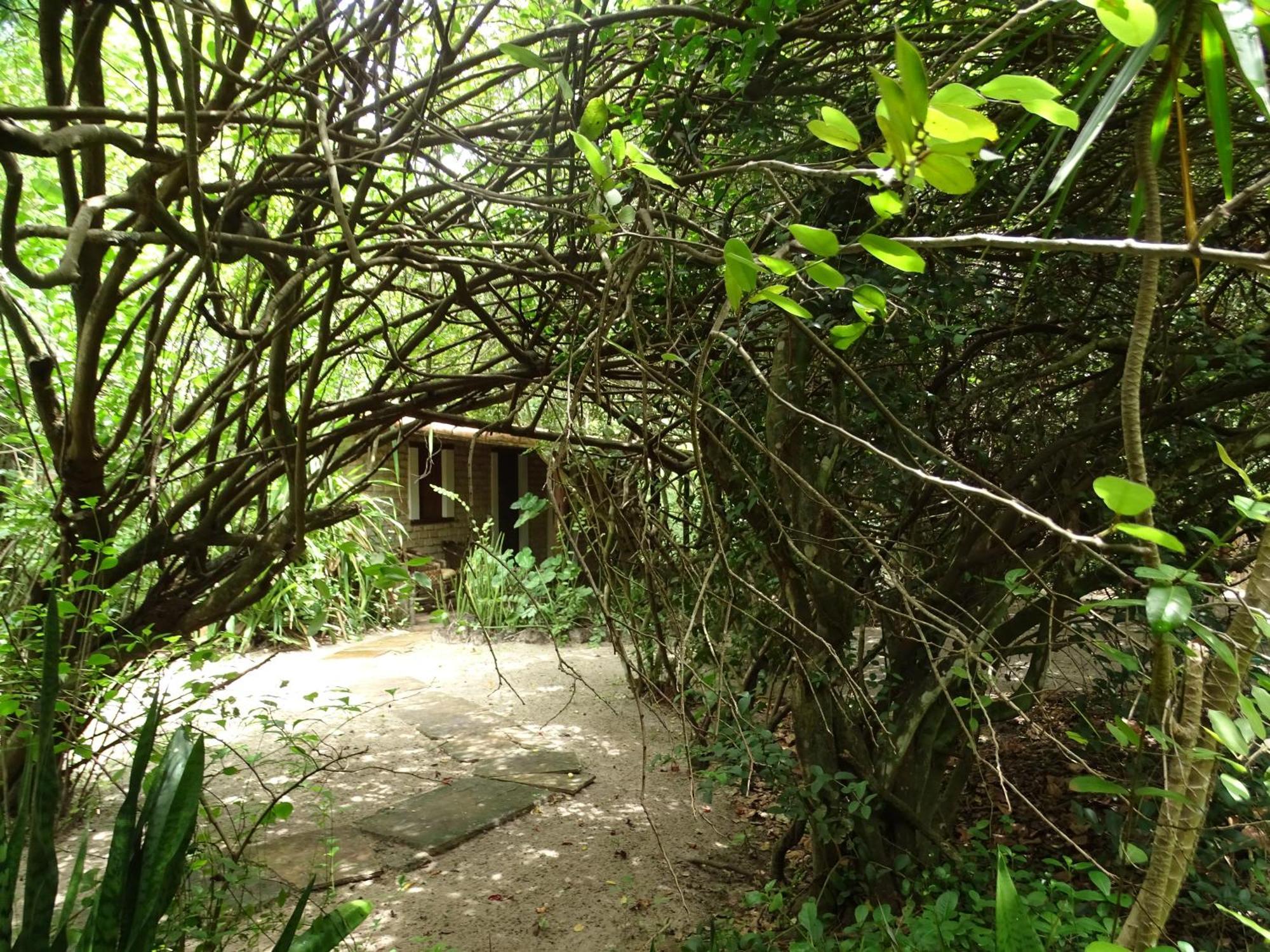 Hotel Jungle House São Miguel do Gostoso Zewnętrze zdjęcie