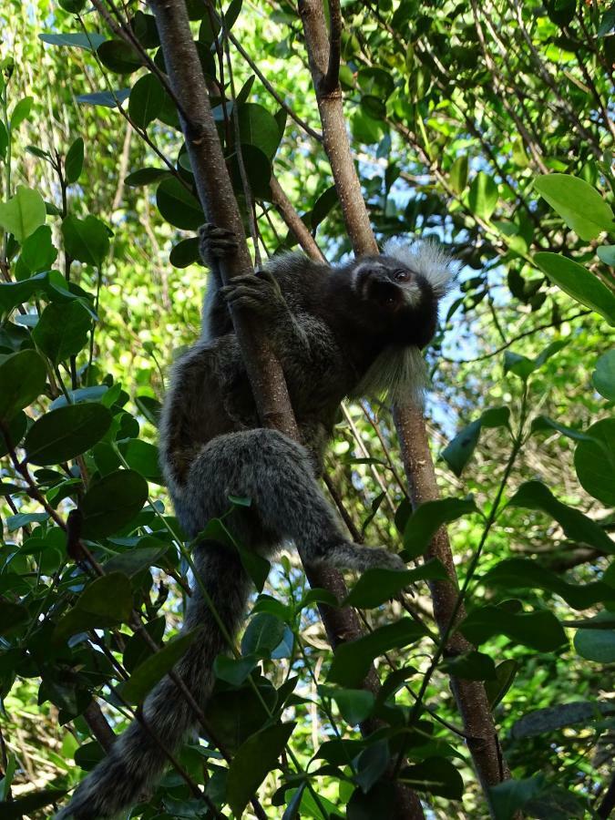 Hotel Jungle House São Miguel do Gostoso Zewnętrze zdjęcie